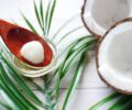 Kenali Manfaat Virgin Coconut Oil untuk Kesehatan