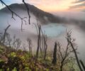 5 Hutan Mati di Indonesia yang Jadi Magnet Wisata Alam