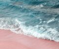 7 Pantai Pasir Pink di Dunia dengan Keindahan Eksotis yang Bikin Liburan Jadi Romantis
